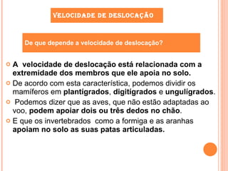 A  velocidade de deslocação está relacionada com a extremidade dos membros que ele apoia no solo. De acordo com esta característica, podemos dividir os mamíferos em  plantígrados ,  digitígrados  e  ungulígrados . Podemos dizer que as aves, que não estão adaptadas ao voo,  podem apoiar dois ou três dedos no chão . E que os invertebrados  como a formiga e as aranhas  apoiam no solo as suas patas articuladas. Velocidade de deslocação De que depende a velocidade de deslocação? 