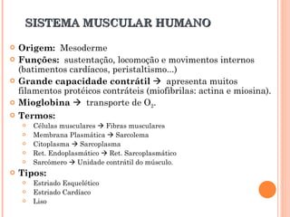 SISTEMA MUSCULAR HUMANO Origem:  Mesoderme Funções:  sustentação, locomoção e movimentos internos (batimentos cardíacos, peristaltismo...) Grande capacidade contrátil      apresenta muitos filamentos protéicos contráteis (miofibrilas: actina e miosina). Mioglobina     transporte de O 2 . Termos: Células musculares    Fibras musculares Membrana Plasmática    Sarcolema Citoplasma    Sarcoplasma Ret. Endoplasmático    Ret. Sarcoplasmático Sarcômero    Unidade contrátil do músculo. Tipos: Estriado Esquelético Estriado Cardíaco Liso 