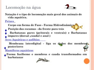 Locomoção na água Natação é o tipo de locomoção mais geral dos animais de vida aquática. Peixes   Corpo em forma de Fuso - Forma Hidrodinâmica   Posição das escamas - da frente para trás  Barbatanas pares (peitorais e ventrais) e Barbatanas ímpares (dorsal ,caudal e anal ) Aves Aquáticas e anfíbios  Membrana interdigital - liga os dedos dos membros posteriores Mamíferos aquáticos Forma fusiforme e membros e cauda transformados em barbatanas 