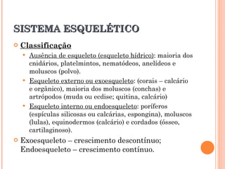 SISTEMA ESQUELÉTICO Classificação Ausência de esqueleto (esqueleto hídrico) : maioria dos cnidários, platelmintos, nematódeos, anelídeos e moluscos (polvo). Esqueleto externo ou exoesqueleto : (corais – calcário e orgânico), maioria dos moluscos (conchas) e artrópodos (muda ou ecdise; quitina, calcário) Esqueleto interno ou endoesqueleto : poríferos (espículas silicosas ou calcárias, espongina), moluscos (lulas), equinodermos (calcário) e cordados (ósseo, cartilaginoso). Exoesqueleto – crescimento descontínuo; Endoesqueleto – crescimento contínuo. 