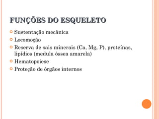 FUNÇÕES DO ESQUELETO Sustentação mecânica Locomoção Reserva de sais minerais (Ca, Mg, P), proteínas, lipídios (medula óssea amarela) Hematopoiese Proteção de órgãos internos 