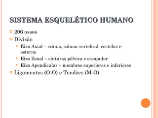 SISTEMA ESQUELÉTICO HUMANO 206 ossos Divisão Eixo Axial – crânio, coluna vertebral, costelas e esterno Eixo Zonal – cinturas pélvica e escapular Eixo Apendicular – membros superiores e inferiores Ligamentos (O-O) e Tendões (M-O) 