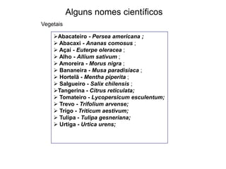 Alguns nomes científicos
Vegetais

    Abacateiro - Persea americana ;
     Abacaxi - Ananas comosus ;
     Açaí - Euterpe oleracea ;
     Alho - Allium sativum ;
     Amoreira - Morus nigra ;
     Bananeira - Musa paradisiaca ;
     Hortelã - Mentha piperita ;
     Salgueiro - Salix chilensis ;
    Tangerina - Citrus reticulata;
     Tomateiro - Lycopersicum esculentum;
     Trevo - Trifolium arvense;
     Trigo - Triticum aestivum;
     Tulipa - Tulipa gesneriana;
     Urtiga - Urtica urens;
 