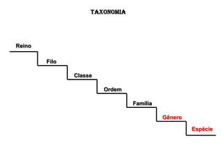 TAXONOMIA




Reino

        Filo

               Classe

                        Ordem

                                Família

                                          Gênero

                                                   Espécie
 