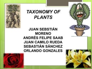 TAXONOMY OF PLANTS JUAN SEBSTIÁN MORENO ANDRÉS FELIPE SAAB JUAN CAMILO RUEDA SEBASTIÁN SÁNCHEZ ORLANDO GONZALES 