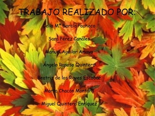 Celia Mª García Pacheco
Sara Pérez Canales
Manuel Aguilar Amaya
Ángela Raposo Quintero
Beatriz de los Reyes Escobar
Marta Chacón Montaño
Miguel Quintero Enríquez
TRABAJO REALIZADO POR:
 