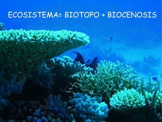 ECOSISTEMA= BIOTOPO +
BIOCENOSIS
ECOSISTEMA= BIOTOPO + BIOCENOSIS
 