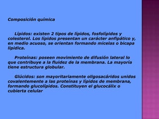 Composición química
Lípidos: existen 2 tipos de lípidos, fosfolípidos y
colesterol. Los lípidos presentan un carácter anfipático y,
en medio acuoso, se orientan formando micelas o bicapa
lipidica.
Proteínas: poseen movimiento de difusión lateral lo
que contribuye a la fluidez de la membrana. La mayoría
tiene estructura globular.
Glúcidos: son mayoritariamente oligosacáridos unidos
covalentemente a las proteínas y lípidos de membrana,
formando glucolípidos. Constituyen el glucocálix o
cubierta celular
 