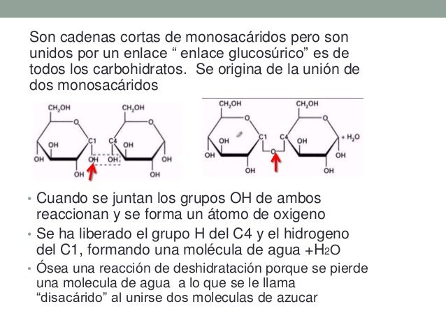 Biologia agua Biologia agua