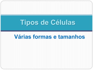 Várias formas e tamanhos
Tipos de Células
 