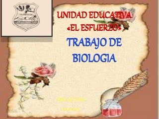 UNIDAD EDUCATIVA
«EL ESFUERZO»
TRABAJO DE
BIOLOGIA
ANO LECTIVO
2014/2015
 