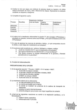 Biología Anexo Practico [2014]