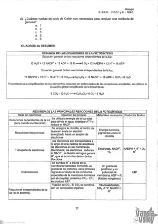 Biología Anexo Practico [2014]
