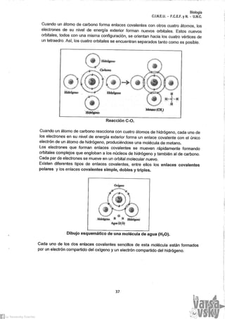 Biología Anexo Practico [2014]