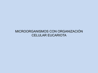 MICROORGANISMOS CON ORGANIZACIÓN
CELULAR EUCARIOTA