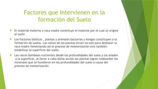 Factores que Intervienen en la
formación del Suelo
 El material materno o roca madre constituye el material por el cual se origina
el suelo
 Los Factores bióticos , plantas y animales bacterias y hongos constituyen a la
formación de suelos. Las raíces de las plantas sirven no solo para deshacer la
roca madre fomentando así el proceso de meteorización sino también
estabilizar la superficie del suelo.
 Las raíces bombean nutrientes desde las profundidades del suelo y los añaden
a la superficie, al llevar a cabo dicha acción las plantas logran reabsorber los
minerales que se hundieron en las profundidades del suelo a causa del
proceso de meteorización
 