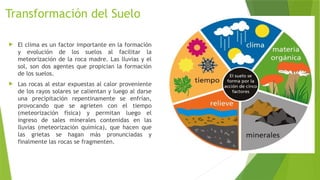 Transformación del Suelo
 El clima es un factor importante en la formación
y evolución de los suelos al facilitar la
meteorización de la roca madre. Las lluvias y el
sol, son dos agentes que propician la formación
de los suelos.
 Las rocas al estar expuestas al calor proveniente
de los rayos solares se calientan y luego al darse
una precipitación repentinamente se enfrían,
provocando que se agrieten con el tiempo
(meteorización física) y permitan luego el
ingreso de sales minerales contenidas en las
lluvias (meteorización química), que hacen que
las grietas se hagan más pronunciadas y
finalmente las rocas se fragmenten.
 