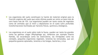  Los organismos del suelo constituyen la fuente de material original para la
fracción orgánica del suelo que antes dijimos puede ser entre un poco más de
cero hasta más de 15%. Los organismos pueden ser tanto restos de vegetales
como de animales que al morir y depositarse en el suelo sufre profundas
transformaciones facilitadas por factores físicos, químicos y biológicos.
 Los organismos en el suelo sobre todo la fauna, pueden ser tanto los grandes
como las gallinas ciegas (Phyllophaga sp), lombrices por ejemplo Eisenia
foetida, los escarabajos como los estercoleros, los miriápodos como los
ciempiés, pequeños organismos vegetales. tenemos los nematodos, que son
pequeños gusanos aplanados, tenemos a los hongos, bacterias y virus
 
