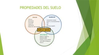 PROPIEDADES DEL SUELO
 