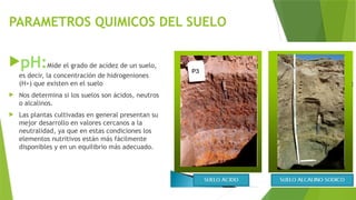 PARAMETROS QUIMICOS DEL SUELO
pH:Mide el grado de acidez de un suelo,
es decir, la concentración de hidrogeniones
(H+) que existen en el suelo
 Nos determina si los suelos son ácidos, neutros
o alcalinos.
 Las plantas cultivadas en general presentan su
mejor desarrollo en valores cercanos a la
neutralidad, ya que en estas condiciones los
elementos nutritivos están más fácilmente
disponibles y en un equilibrio más adecuado.
 