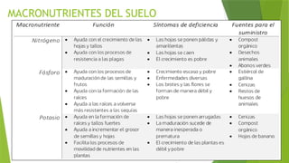 MACRONUTRIENTES DEL SUELO
 