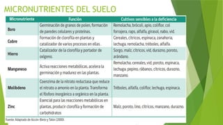 MICRONUTRIENTES DEL SUELO
 