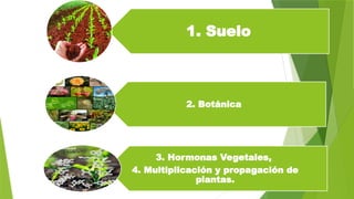 1. Suelo
2. Botánica
3. Hormonas Vegetales,
4. Multiplicación y propagación de
plantas.
 