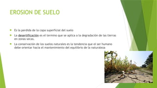 EROSION DE SUELO
 Es la perdida de la capa superficial del suelo
 La desertificación es el termino que se aplica a la degradación de las tierras
en zonas secas.
 La conservación de los suelos naturales es la tendencia que el ser humano
debe orientar hacia el mantenimiento del equilibrio de la naturaleza
 