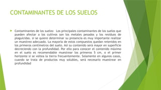 CONTAMINANTES DE LOS SUELOS
 Contaminantes de los suelos: Los principales contaminantes de los suelos que
pueden afectar a los cultivos son los metales pesados y los residuos de
plaguicidas. si se quiere determinar su presencia es muy importante realizar
un muestreo adecuado. La mayoría de estos compuestos quedan retenidos en
los primeros centímetros del suelo. Así su contenido será mayor en superficie
decreciendo con la profundidad. Por ello para conocer el contenido máximo
en el suelo es recomendable muestrear los primeros 5 cm, o el primer
horizonte si se voltea la tierra frecuentemente. Solamente en algunos casos,
cuando se trata de productos muy solubles, será necesario muestrear en
profundidad
 