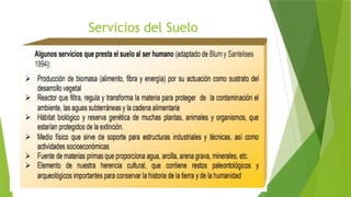 Servicios del Suelo
 