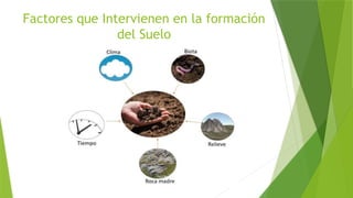 Factores que Intervienen en la formación
del Suelo
 