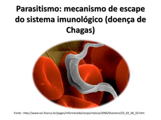 Parasitismo: mecanismo de escape
do sistema imunológico (doença de
Chagas)
Fonte : http://www.ioc.fiocruz.br/pages/informerede/corpo/noticia/2006/fevereiro/23_02_06_02.htm
 