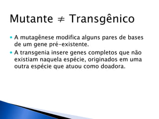 Mutante ≠ Transgênico
 A mutagênese modifica alguns pares de bases
de um gene pré-existente.
 A transgenia insere genes completos que não
existiam naquela espécie, originados em uma
outra espécie que atuou como doadora.
 