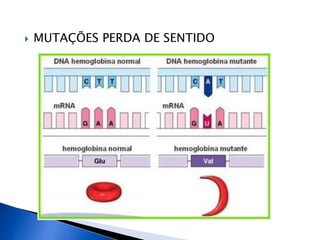  MUTAÇÕES PERDA DE SENTIDO
 