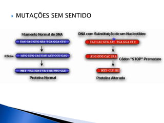  MUTAÇÕES SEM SENTIDO
 
