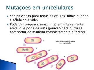 São passadas para todas as células-filhas quando
a célula se divide.
 Pode dar origem a uma linhagem inteiramente
nova, que pode de uma geração para outra se
comportar de maneira completamente diferente.
 