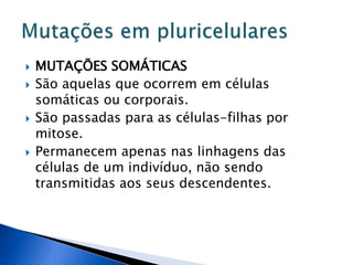  MUTAÇÕES SOMÁTICAS
 São aquelas que ocorrem em células
somáticas ou corporais.
 São passadas para as células-filhas por
mitose.
 Permanecem apenas nas linhagens das
células de um indivíduo, não sendo
transmitidas aos seus descendentes.
 