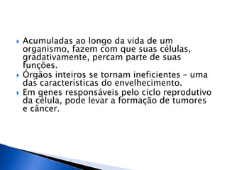  Acumuladas ao longo da vida de um
organismo, fazem com que suas células,
gradativamente, percam parte de suas
funções.
 Órgãos inteiros se tornam ineficientes – uma
das características do envelhecimento.
 Em genes responsáveis pelo ciclo reprodutivo
da célula, pode levar a formação de tumores
e câncer.
 
