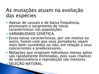 As mutações atuam na evolução
das espécies
 Apesar de casuais e de baixa frequência,
promovem o surgimento de novas
características nas populações.
 VARIABILIDADE GENÉTICA.
 Essas novas características, por um motivo ou
outro, fazem com que seus portadores sejam
mais bem-sucedidos ou não, em relação a seus
concorrentes e predecessores.
 Mutações que originam indivíduos menos aptos
são rapidamente eliminadas, pois suas chances
de sobrevivência e reprodução são menores.
 SELEÇÃO NATURAL.
 