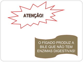 ATENÇÃO! O FÍGADO PRODUZ A BILE QUE NÃO TEM ENZIMAS DIGESTIVAS! 