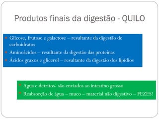 Produtos finais da digestão - QUILO Glicose, frutose e galactose – resultante da digestão de carboidratos Aminoácidos – resultante da digestão das proteínas Ácidos graxos e glicerol – resultante da digestão dos lipídios Água e detritos- são enviados ao intestino grosso Reabsorção de água – muco – material não digestivo – FEZES! 