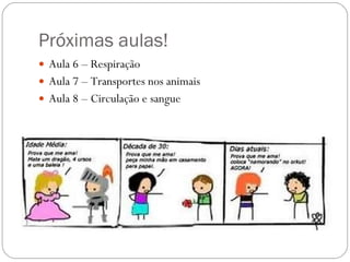 Próximas aulas! Aula 6 – Respiração Aula 7 – Transportes nos animais Aula 8 – Circulação e sangue 