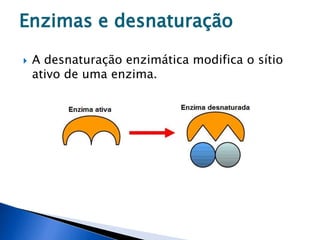  A desnaturação enzimática modifica o sítio
ativo de uma enzima.
Enzimas e desnaturação
 