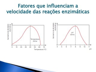 Fatores que influenciam a
velocidade das reações enzimáticas
 