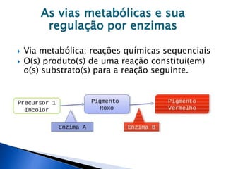 As vias metabólicas e sua
regulação por enzimas
 Via metabólica: reações químicas sequenciais
 O(s) produto(s) de uma reação constitui(em)
o(s) substrato(s) para a reação seguinte.
 