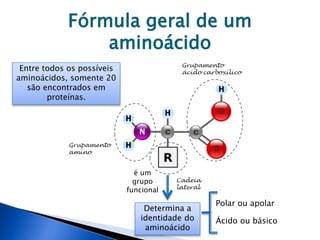 Fórmula geral de um
aminoácido
Determina a
identidade do
aminoácido
Entre todos os possíveis
aminoácidos, somente 20
são encontrados em
proteínas.
Polar ou apolar
Ácido ou básico
é um
grupo
funcional
 