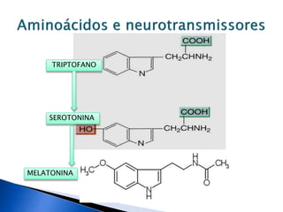 TRIPTOFANO
SEROTONINA
MELATONINA
 
