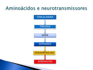 FENILALANINA
NORADRENALINA
DOPA
DOPAMINA
TIROSINA
ADRENALINA
 