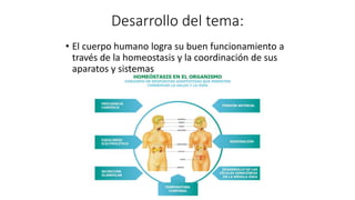 Desarrollo del tema:
• El cuerpo humano logra su buen funcionamiento a
través de la homeostasis y la coordinación de sus
aparatos y sistemas
 