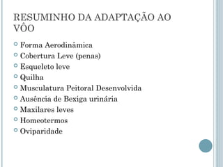 RESUMINHO DA ADAPTAÇÃO AO
VÔO
 Forma Aerodinâmica
 Cobertura Leve (penas)
 Esqueleto leve
 Quilha
 Musculatura Peitoral Desenvolvida
 Ausência de Bexiga urinária
 Maxilares leves
 Homeotermos
 Oviparidade
 